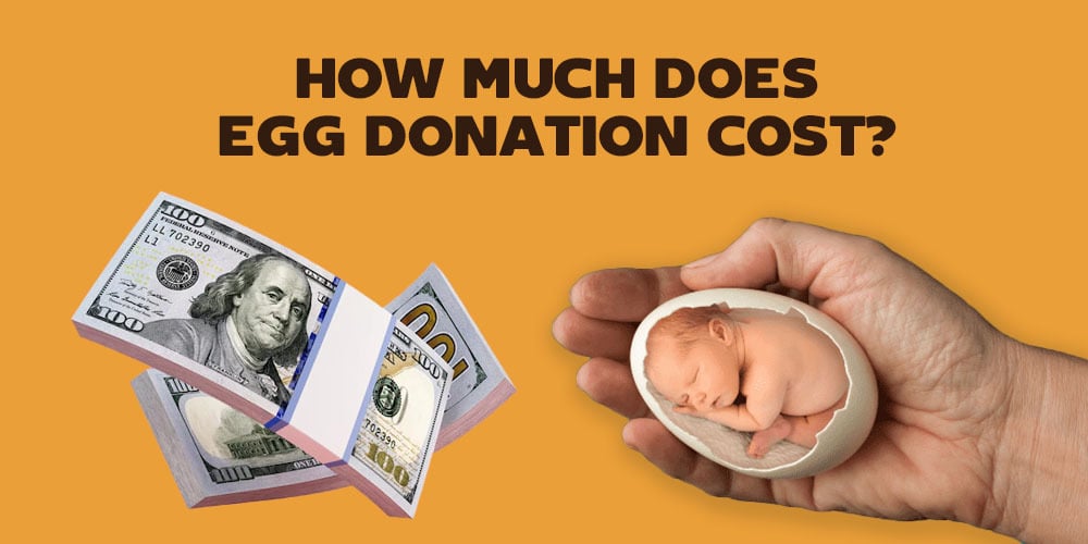 HOW MUCH DOES EGG DONATION COST?