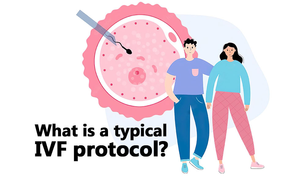 What is a typical IVF protocol