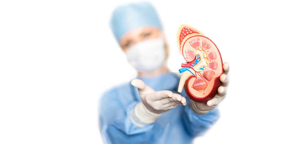 Kidney Transplant Diet