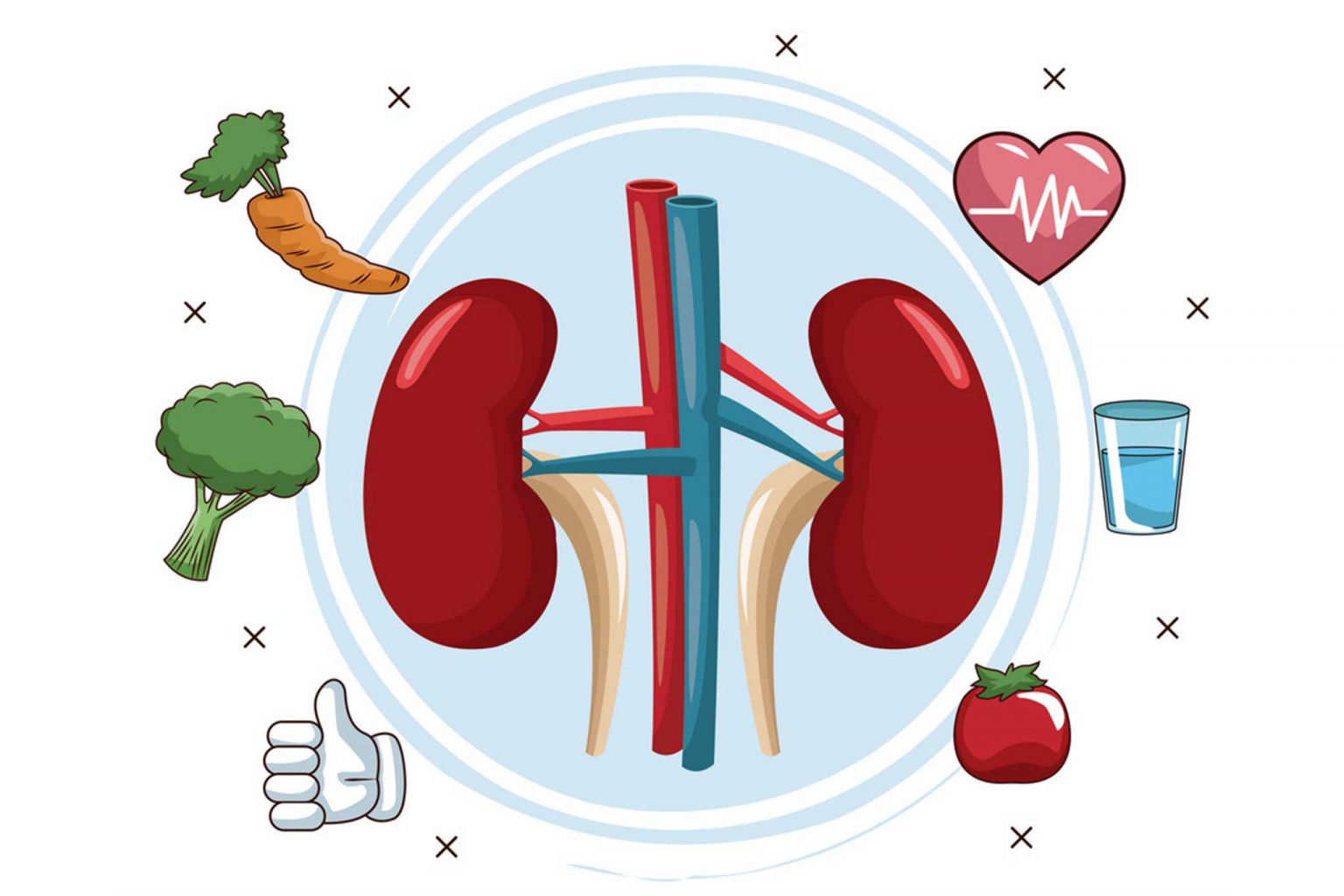 what-is-the-kidney-transplant-patients-diet-after-the-surgery