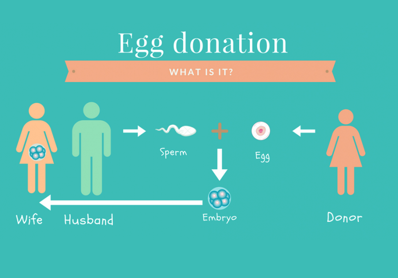 ivf01