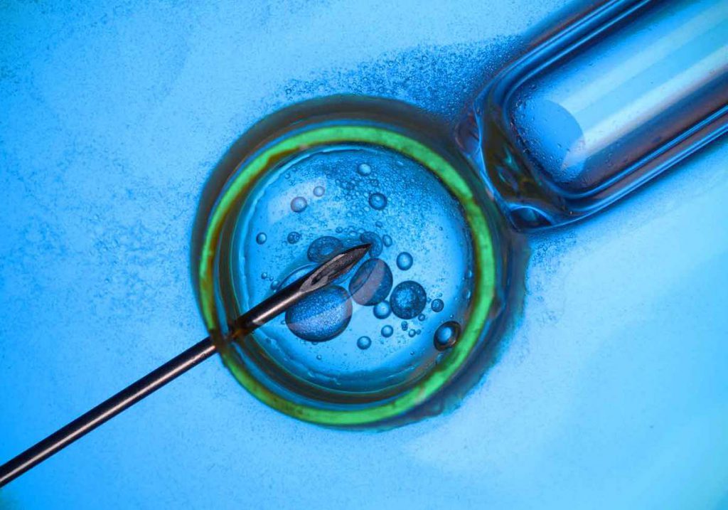 How does IVF work?