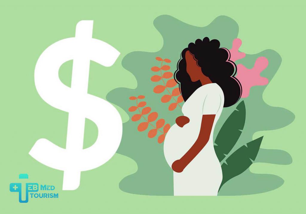 How much does surrogacy insurance cost?
