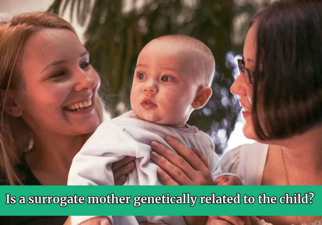 Is a surrogate mother genetically related to the child