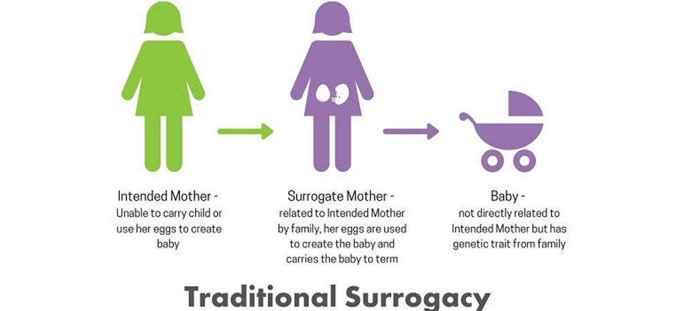 Traditional surrogacy