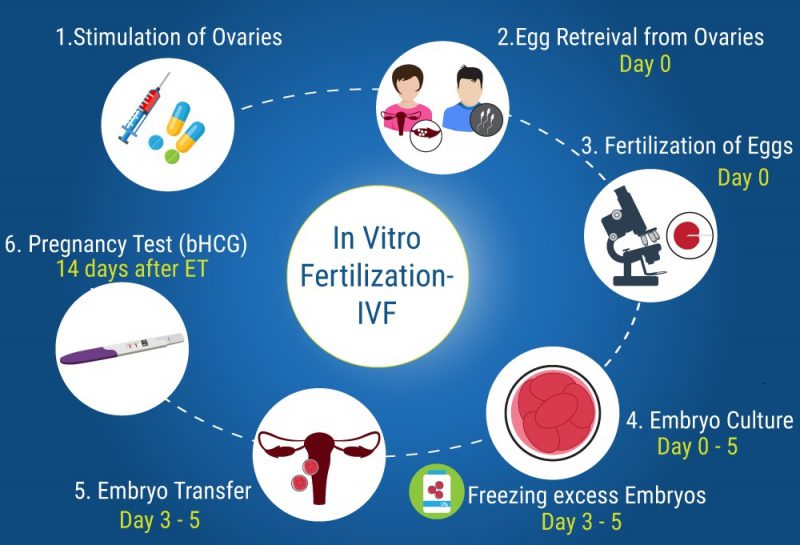   What is the IVF ET process step by step ?