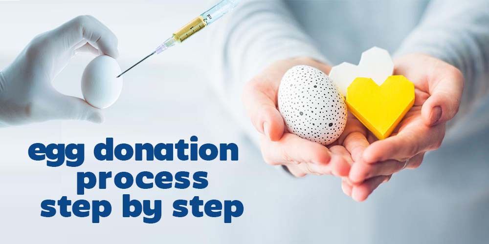 egg donation process step by step