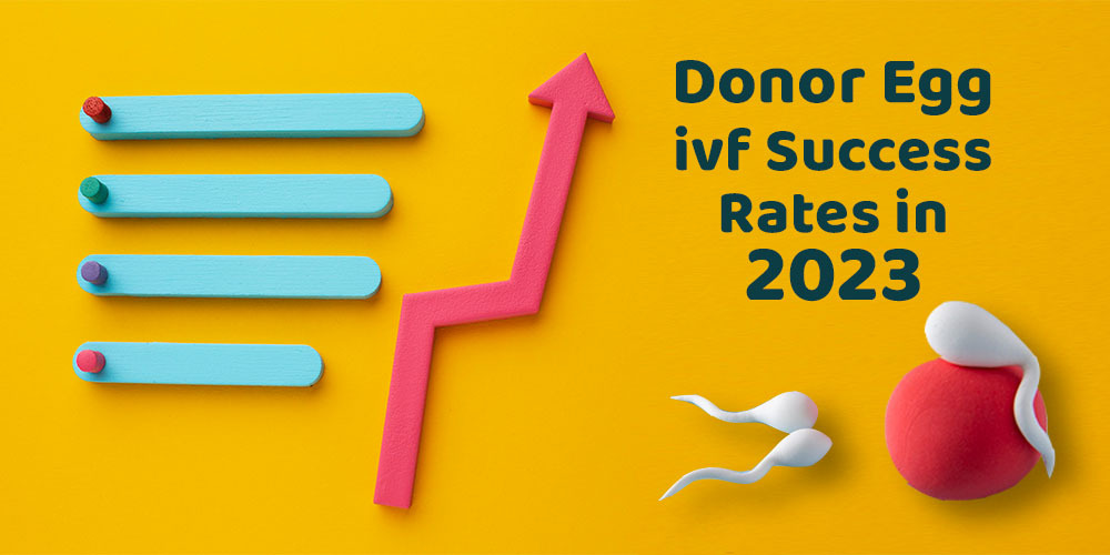 Donor Egg ivf Success Rates in 2023