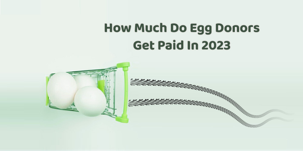 how much do egg donors get paid in 2023