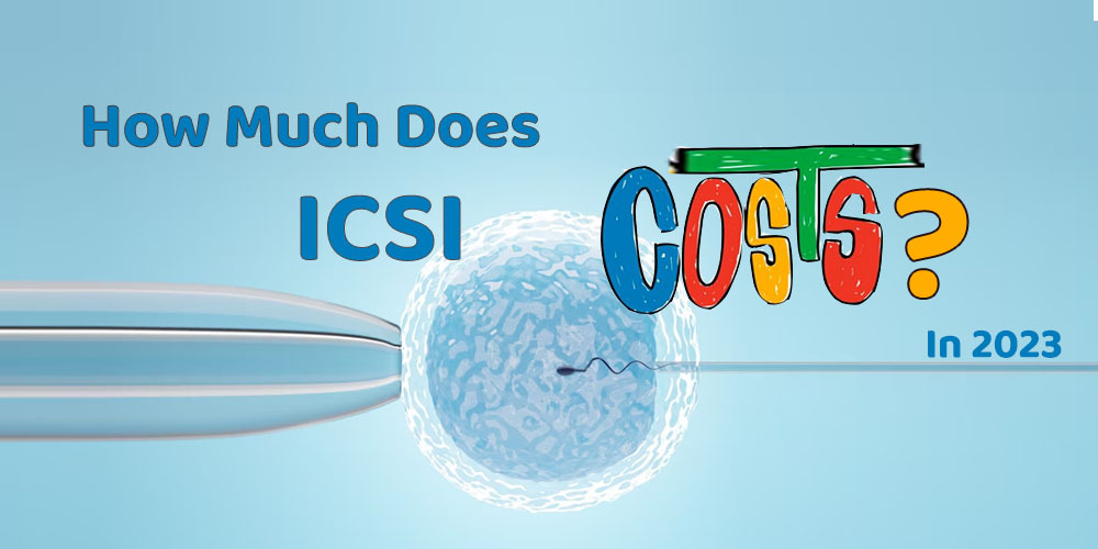How Much Does icsi cost In 2023