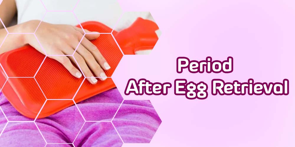 Period After Egg Retrieval