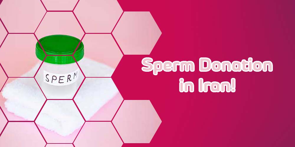 Sperm donation in Iran
