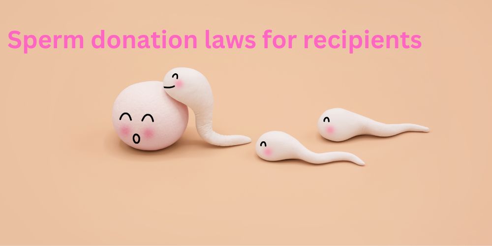 Sperm Donation Laws for Recipients