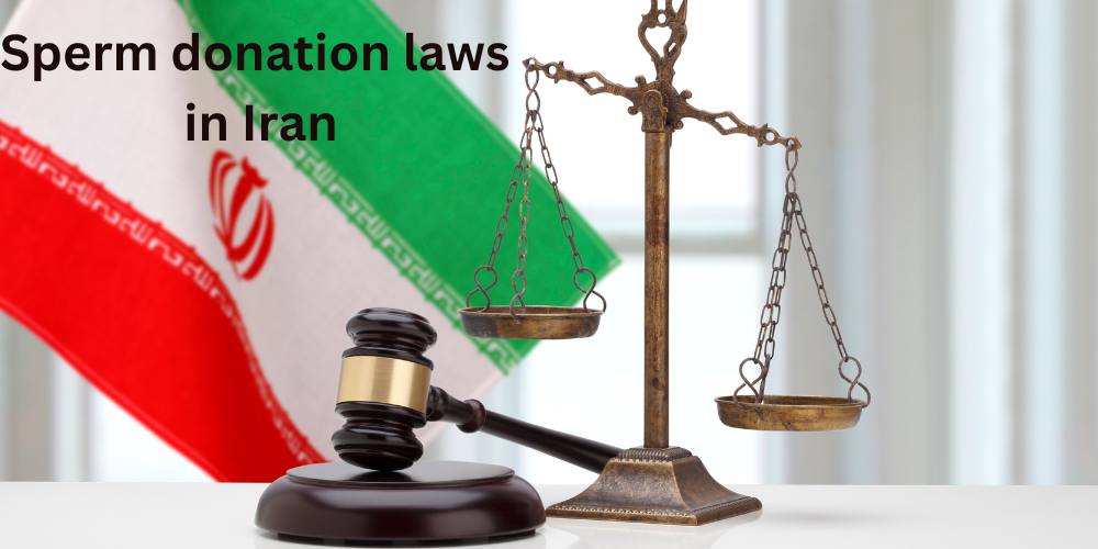 Sperm donation laws in Iran