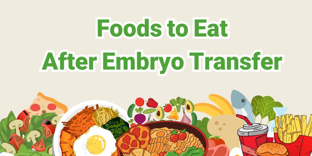Foods to eat after embryo transfer