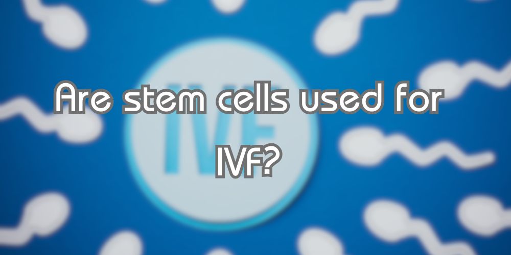 Stem cells and infertility stem cell and ivf