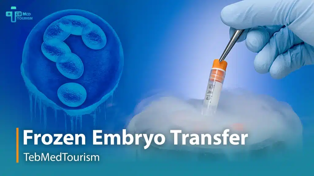what is frozen embryo transfer?