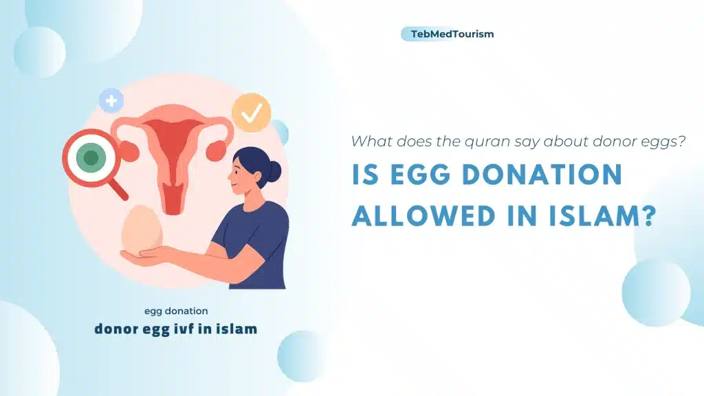 is donating eggs haram?