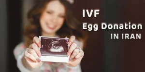 A Deep Dive into Egg Donation in Iran: Procedures, Laws, and Opportunities