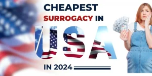 Cheapest surrogacy in USA