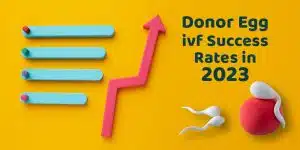 Donor Egg IVF Success Rates in 2023