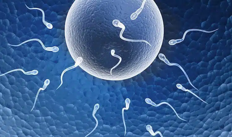 آیا آی وی اف (IVF) دردناک است؟