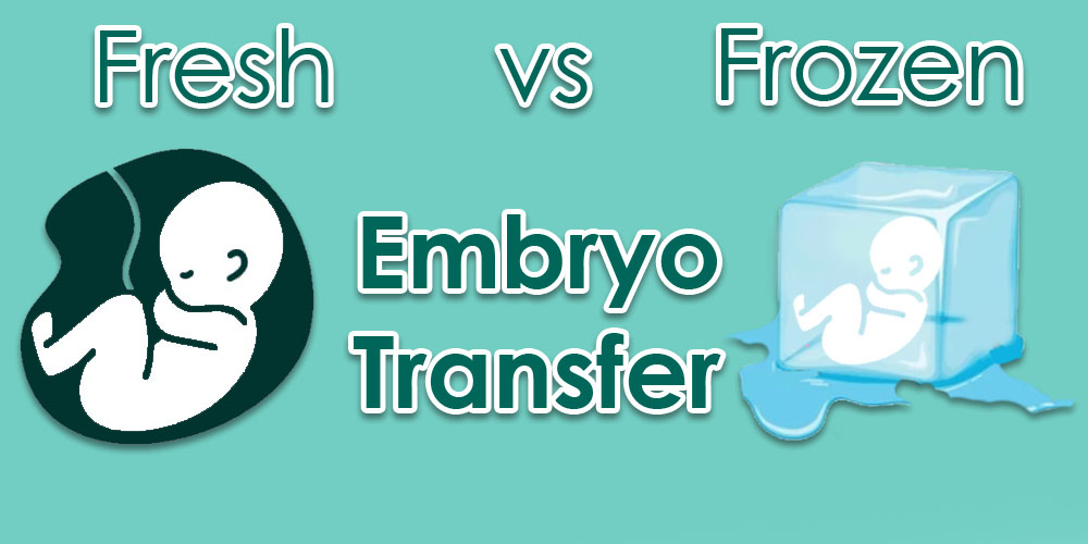 Fresh vs Frozen Embryo Transfer
