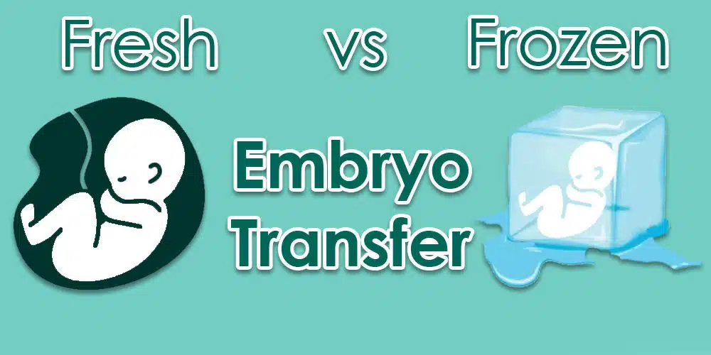 Fresh vs Frozen Embryo Transfer