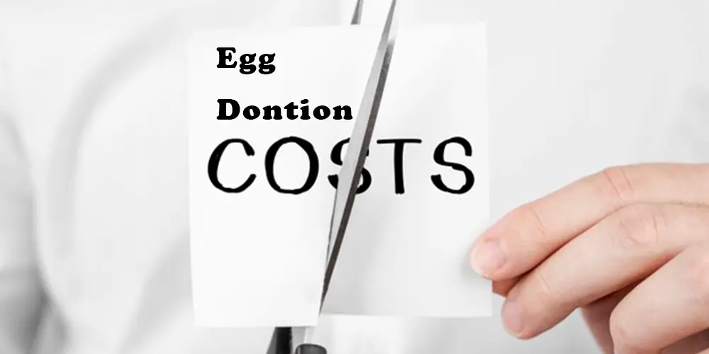 HOW MUCH DOES EGG DONATION COST