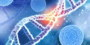How can IVF help Prevent Genetic Diseases?