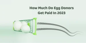 How much do egg donors get paid in 2023