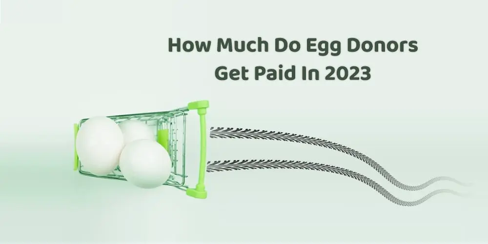 How much do egg donors get paid in 2023