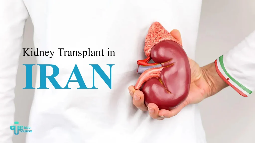 What are the stages of a kidney transplant in Iran?