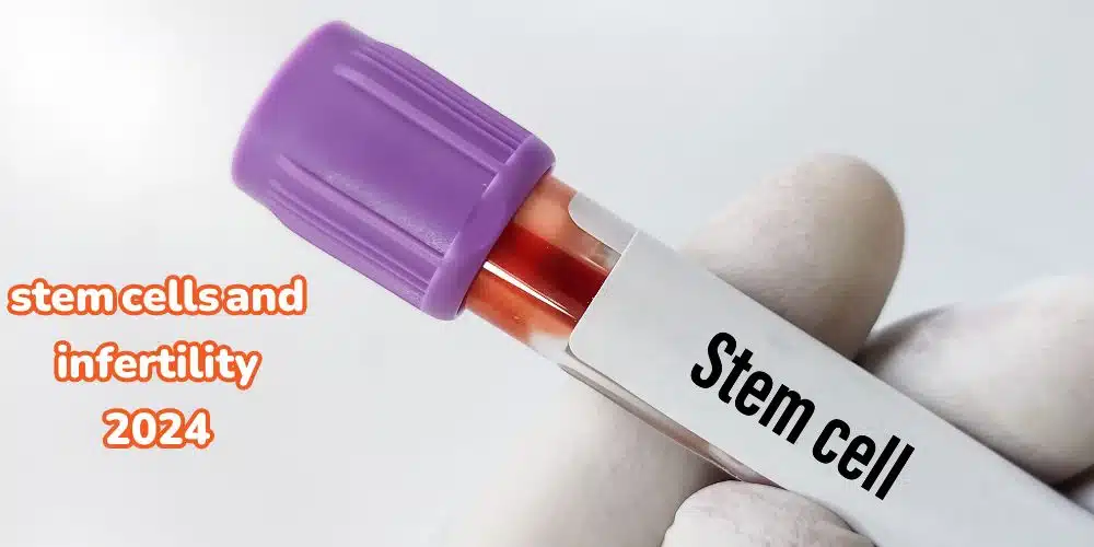 Stem Cells and Infertility 2024