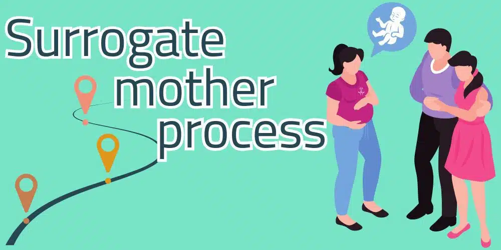 The Comprehensive Guide to the Surrogate Process