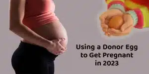 Using a donor egg to get pregnant in 2023