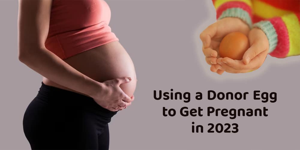 Using a donor egg to get pregnant in 2023