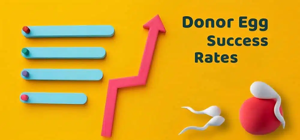 Donor Egg Success Rates in 2025