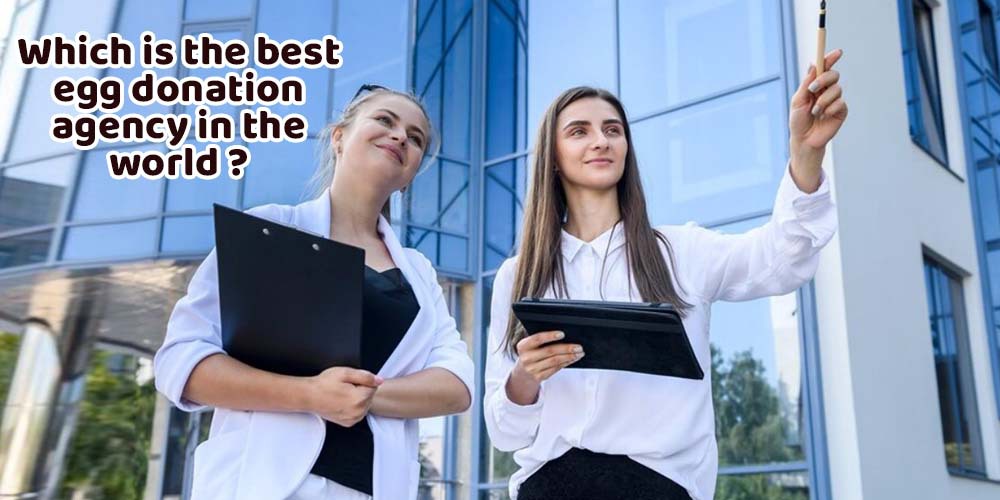 Which is the best egg donation agency in the world?
