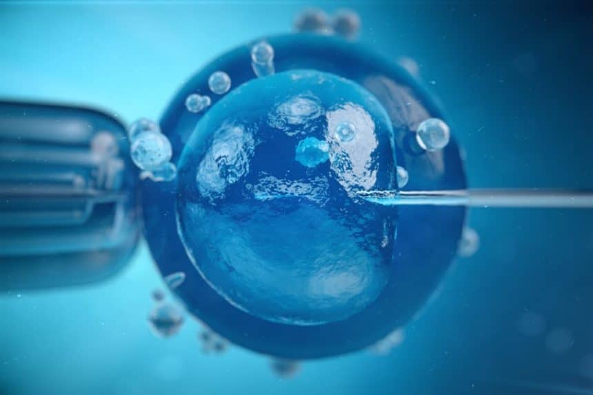 Egg donation success rate