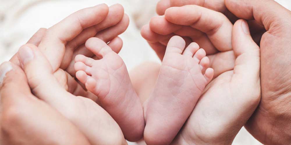 Egg Donation Process for Donors