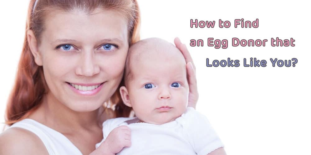 How to find an egg donor that looks like you?