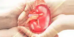Living with One Kidney after Donation