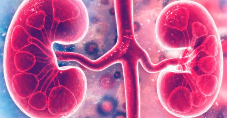Recovery after kidney transplant