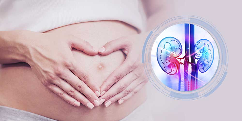 Pregnancy after Kidney Transplantation