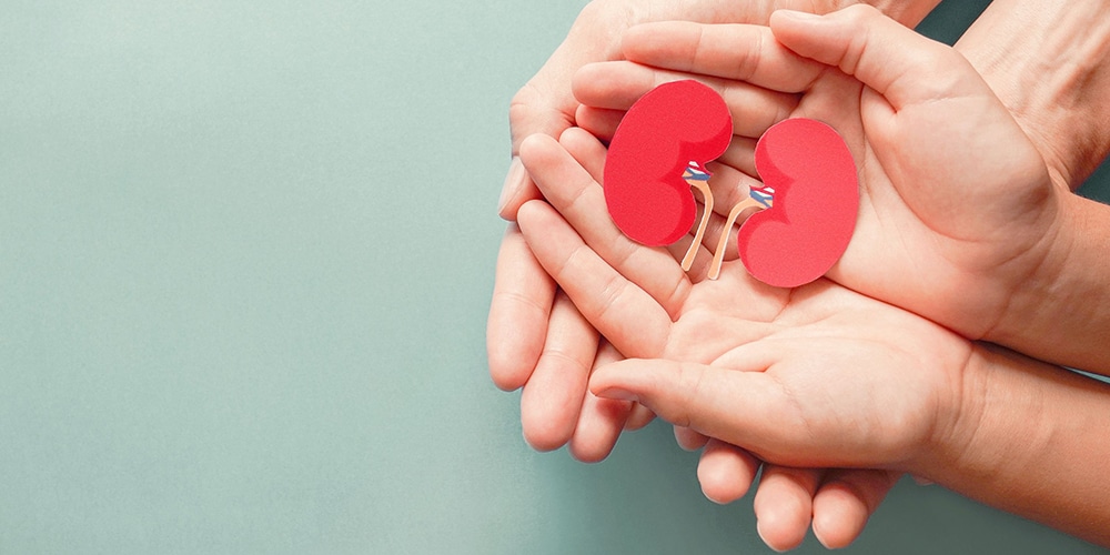 Kidney Transplant Recovery Time for Recipient