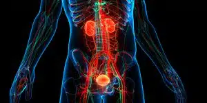Immunosuppression medication in kidney transplant patients