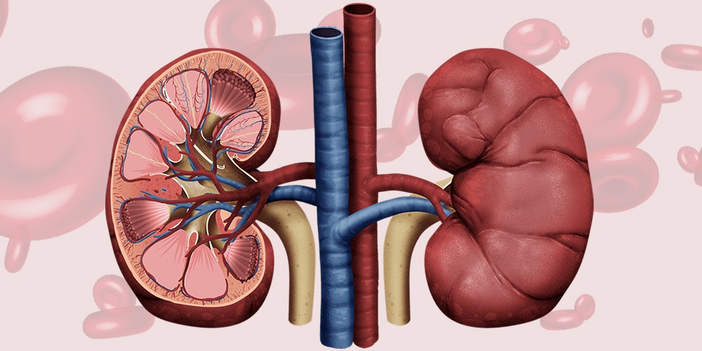 Incompatible Blood Type Kidney Transplants