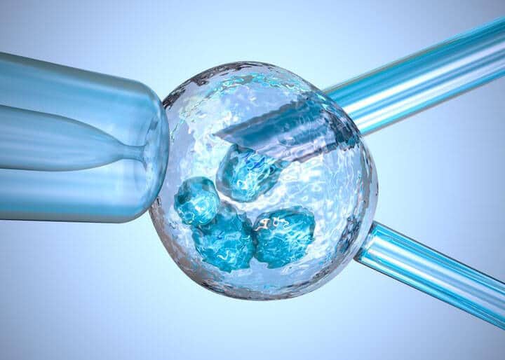 IVF+ Egg Donation + PGD in Iran