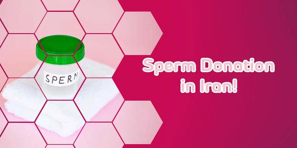 Sperm Donation in Iran
